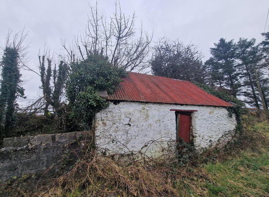 Drumalooaun, Swinford