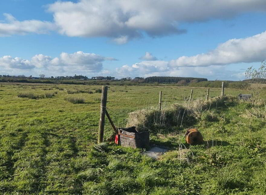 Rathnallog, Ballinagare, Bellanagare, F45K232