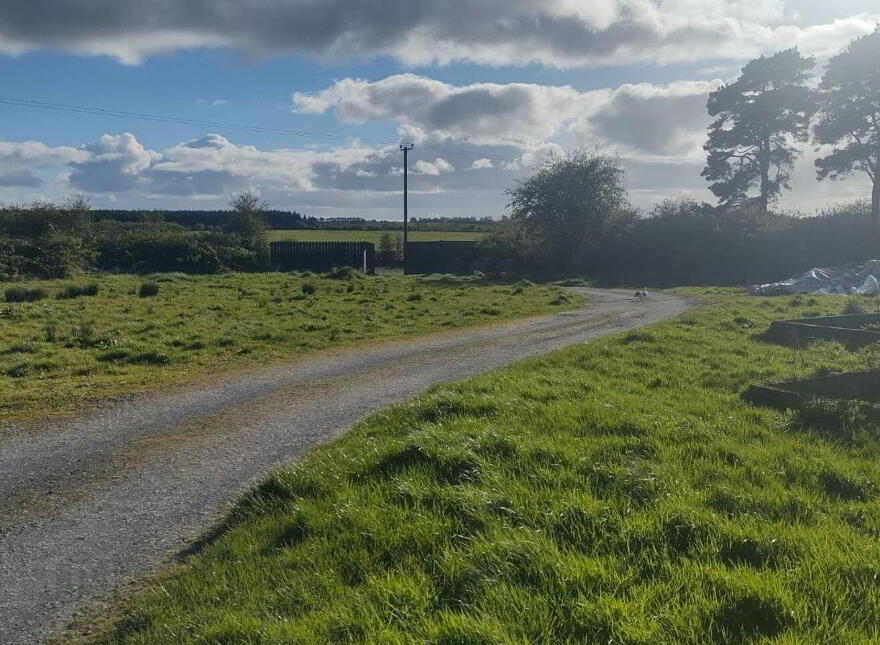Rathnallog, Ballinagare, Bellanagare, F45K232