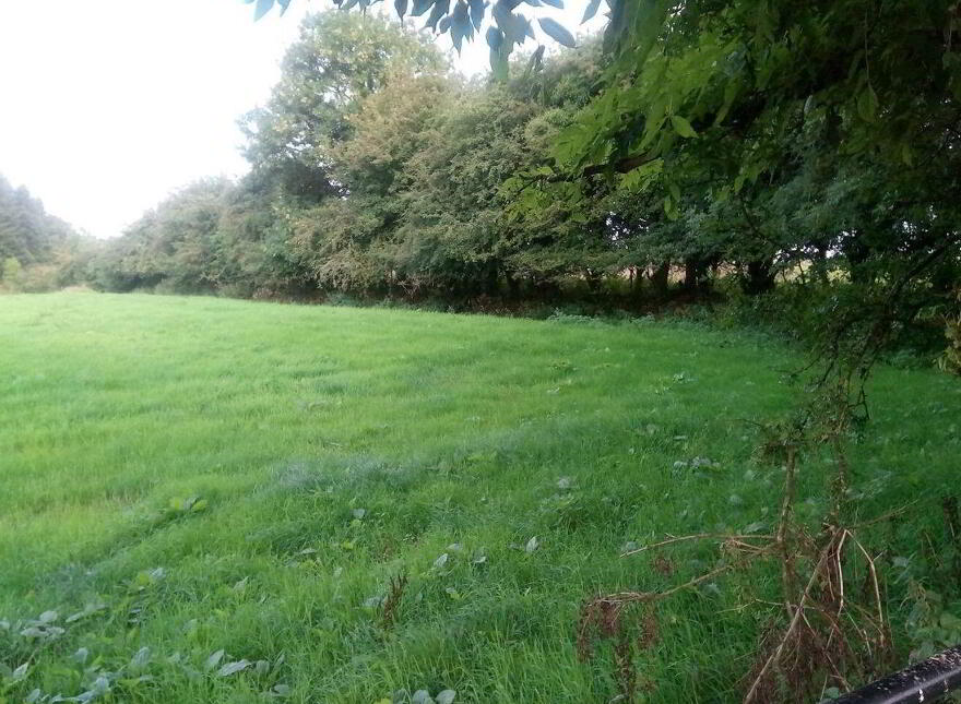 Ballinagran, Balla