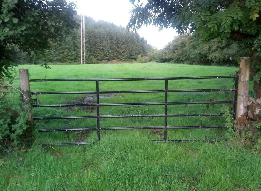 Ballinagran, Balla