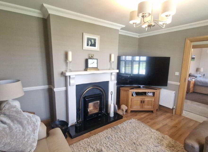 Ballindrumlea, Castlerea, F45XN65