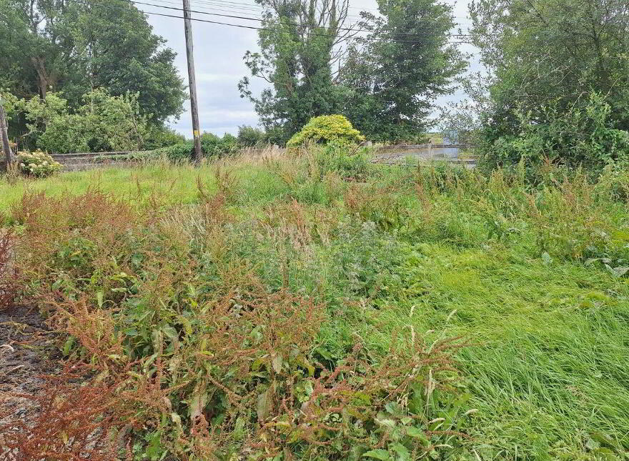Lissatava, Claremorris, Hollymount, F12A6P0