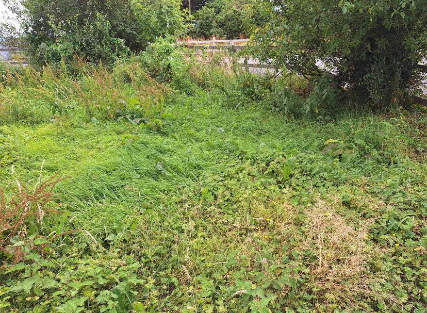 Lissatava, Claremorris, Hollymount, F12A6P0