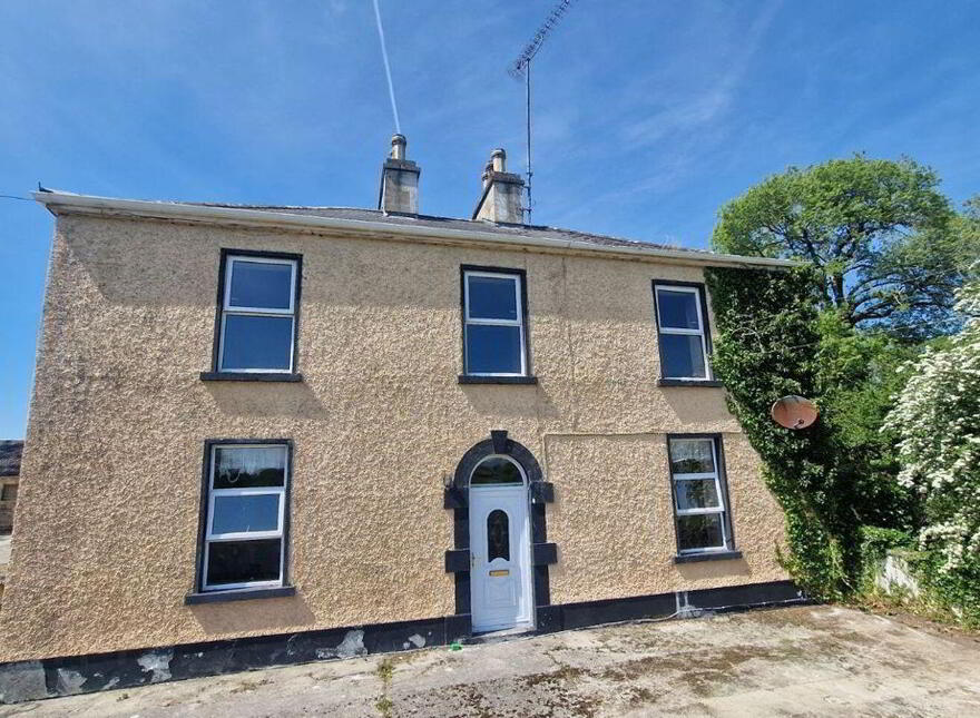 Termon Beg, Castlerea, F45N596 photo