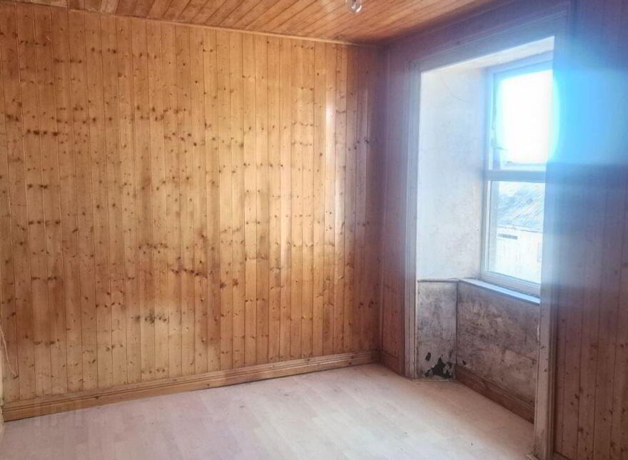 Termon Beg, Castlerea, F45N596
