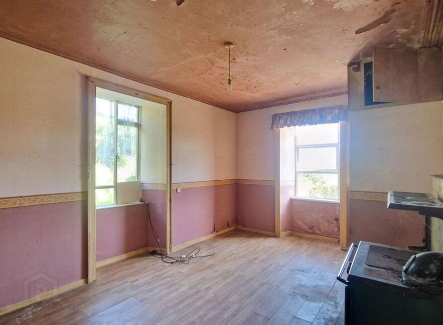 Termon Beg, Castlerea, F45N596