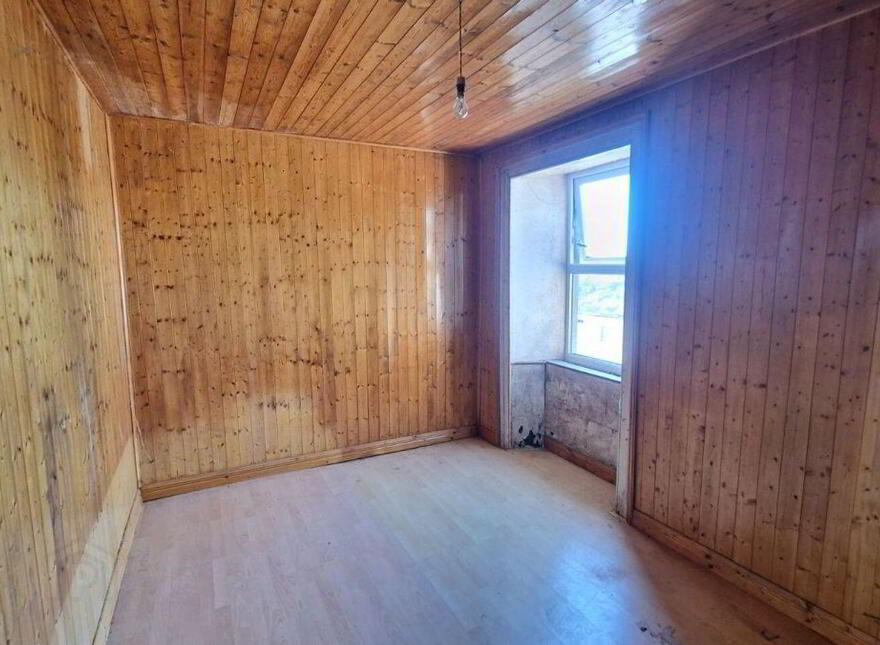Termon Beg, Castlerea, F45N596