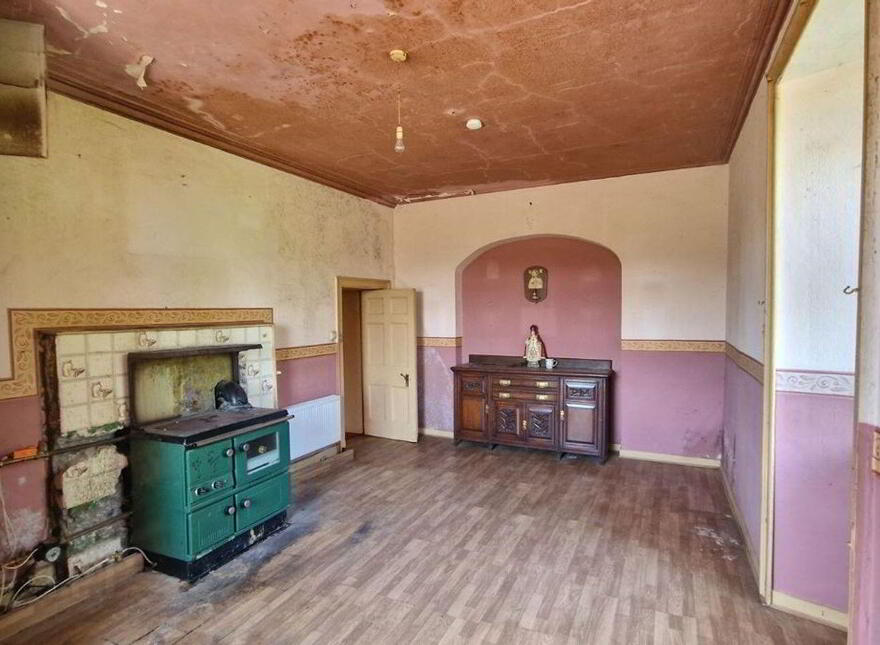 Termon Beg, Castlerea, F45N596