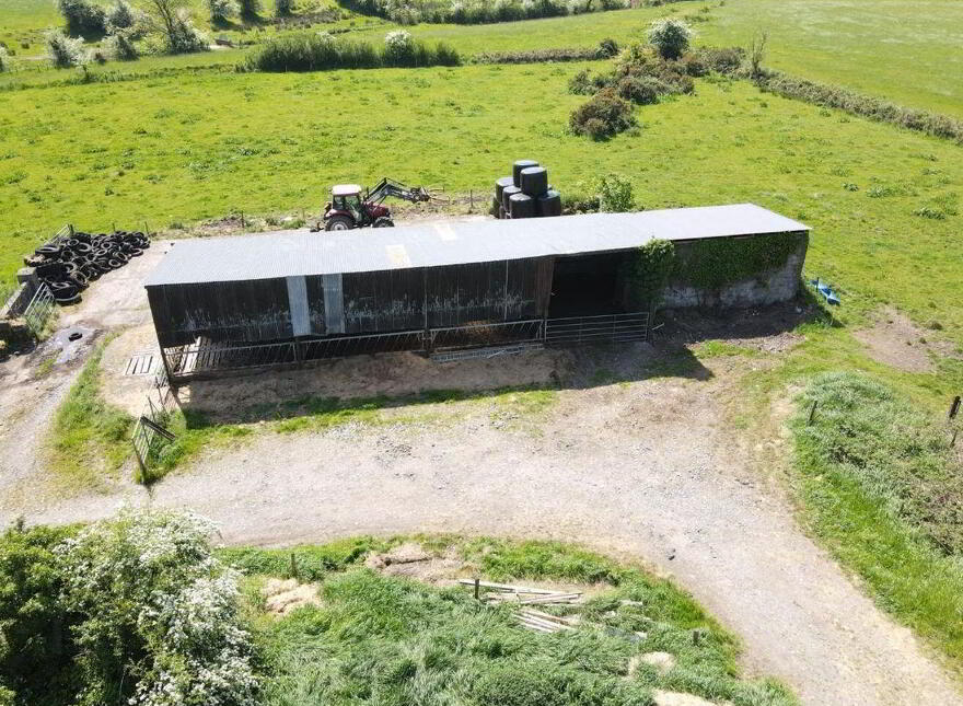 Termon Beg, Castlerea, F45N596
