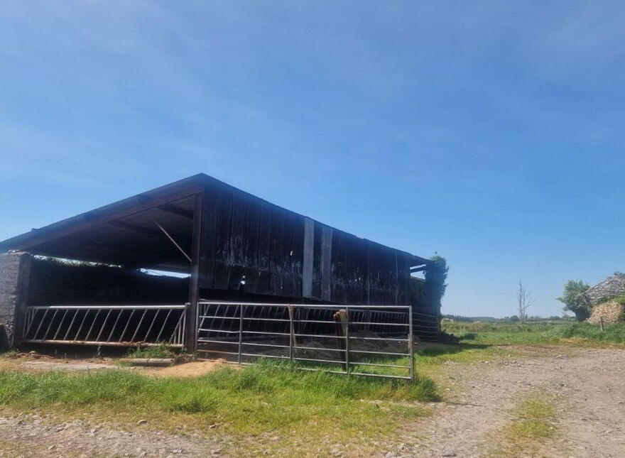 Termon Beg, Castlerea, F45N596