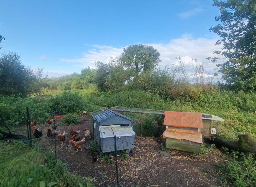Anamchara, Mace Middle, Claremorris, F12Y9X2