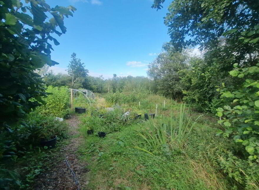 Anamchara, Mace Middle, Claremorris, F12Y9X2