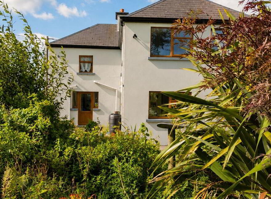Anamchara, Mace Middle, Claremorris, F12Y9X2