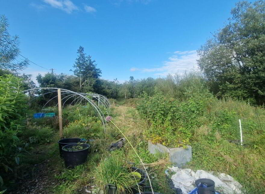 Anamchara, Mace Middle, Claremorris, F12Y9X2