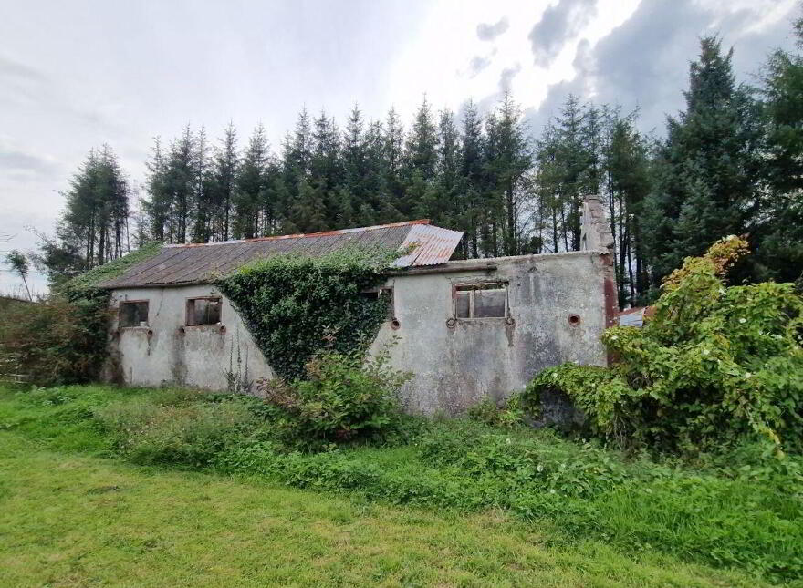 Nyrack Cottage, Culkeen, Cloonfad, F35XN79