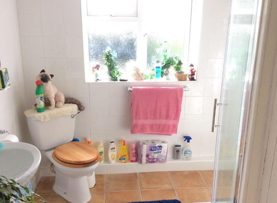 Rusheen, Castleplunket, Castlerea, F45XD53