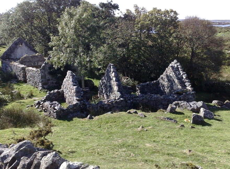 Lehanagh South, Cashel, Cashel