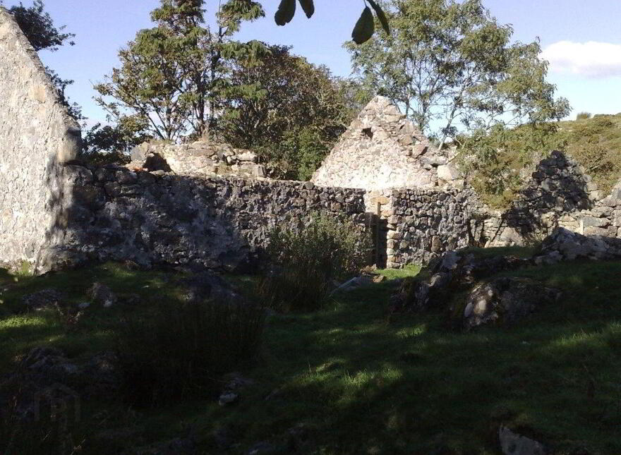 Lehanagh South, Cashel, Cashel