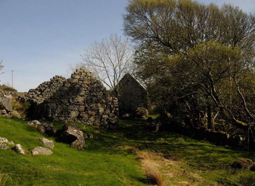 Lehanagh South, Cashel, Cashel