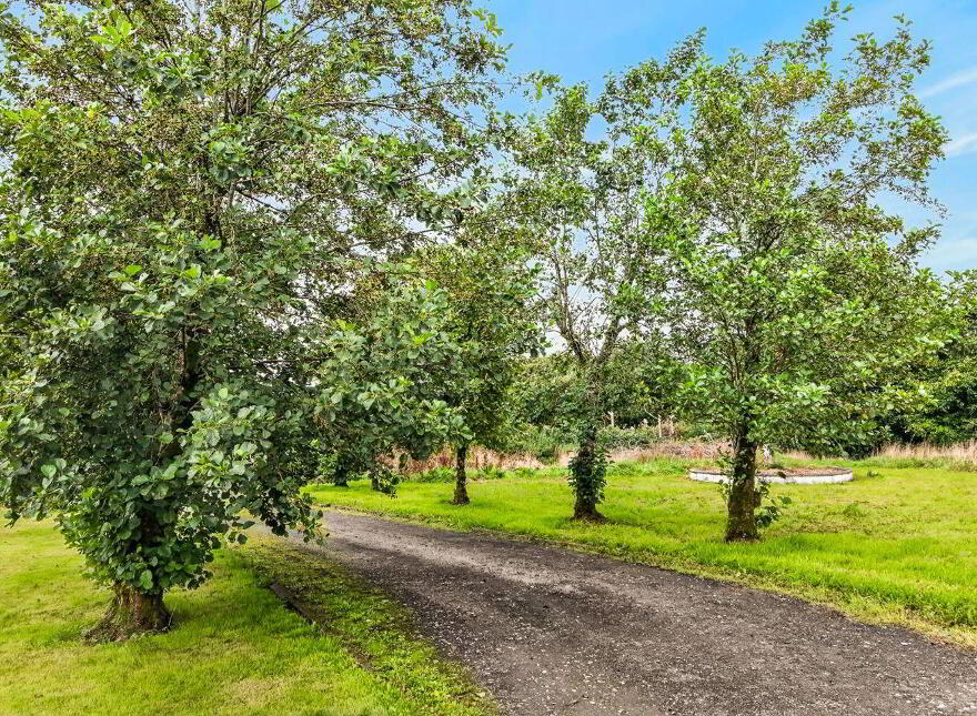 Boleymount, Ballintogher, F91TY00