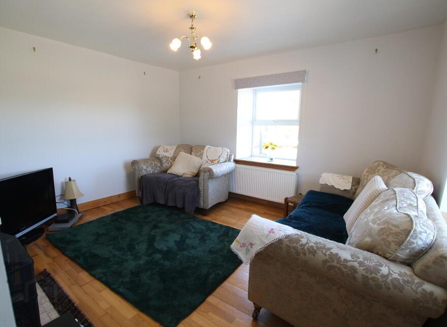 Drumraghool, North , Mohill, N41V004