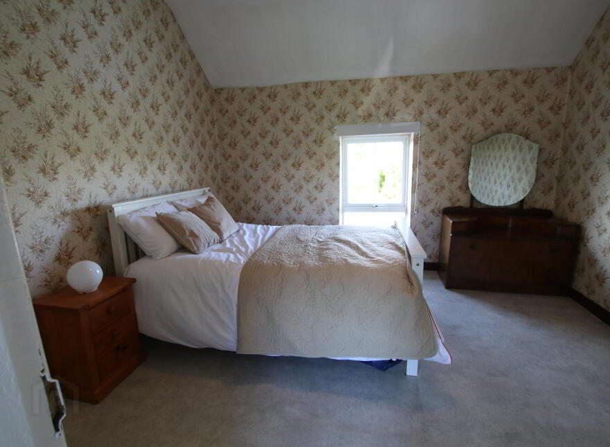 Drumraghool, North , Mohill, N41V004