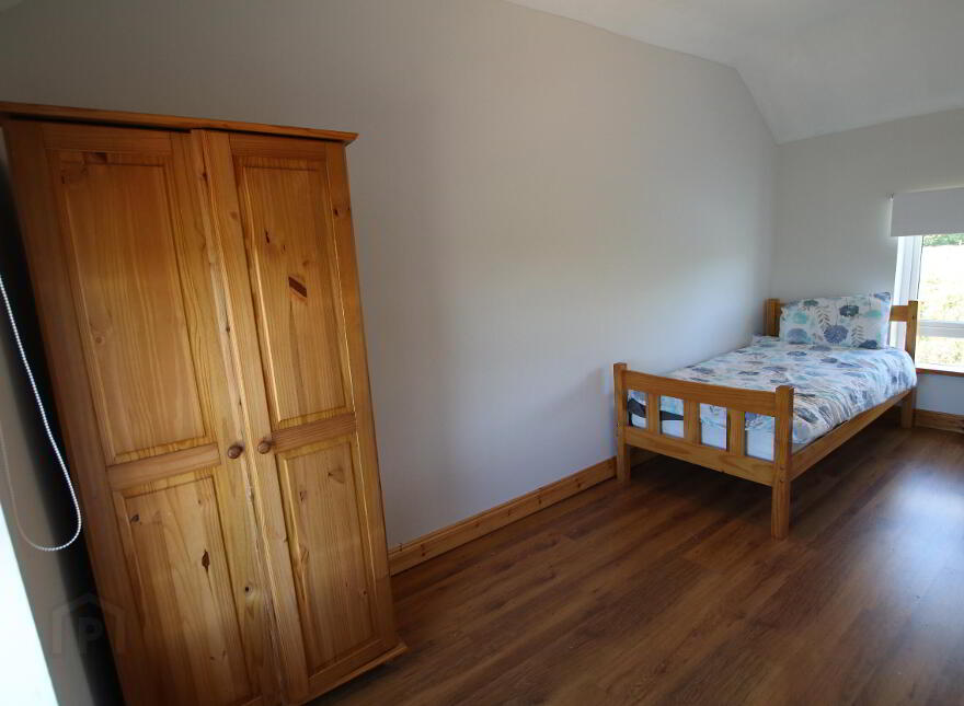 Drumraghool, North , Mohill, N41V004