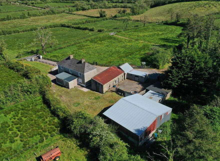 Drumraghool, North , Mohill, N41V004