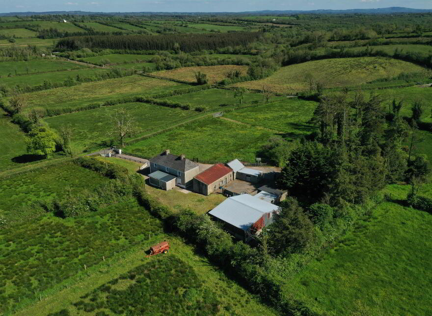 Drumraghool, North , Mohill, N41V004