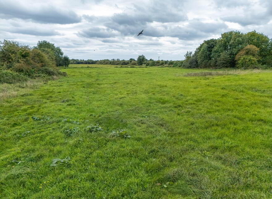 Wh11368, Hall`s Bridge, Baylough, Athlone