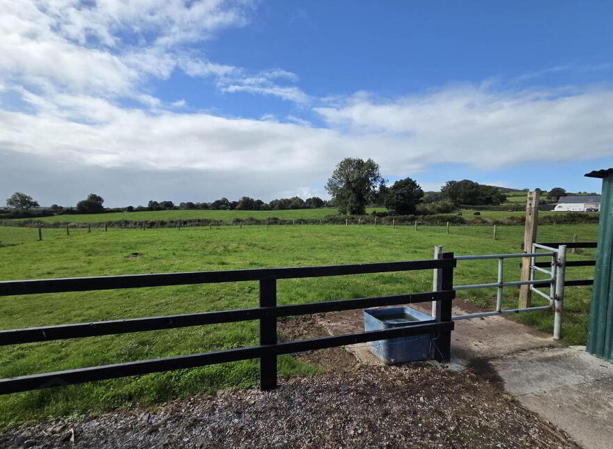 Graigue, Castletown, Kilmallock, V35TX66
