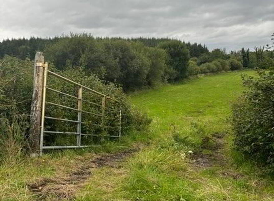 Drumderg, Drumshanbo