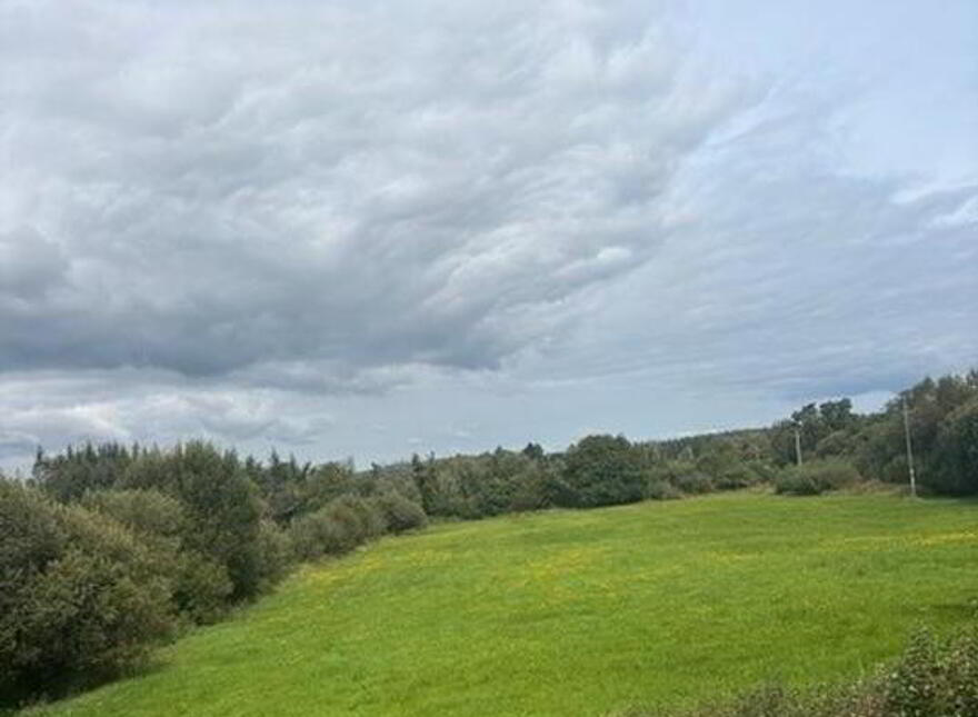 Drumderg, Drumshanbo