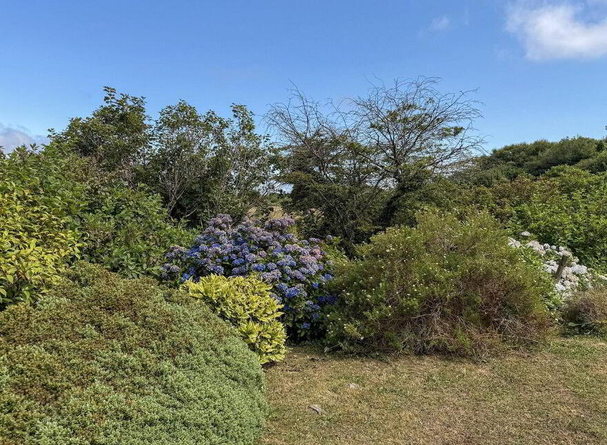 Ardbear, Clifden, H71WD56