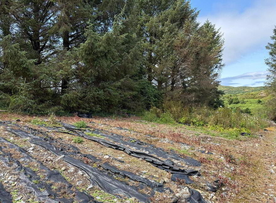 Ardbear, Clifden, H71WD56