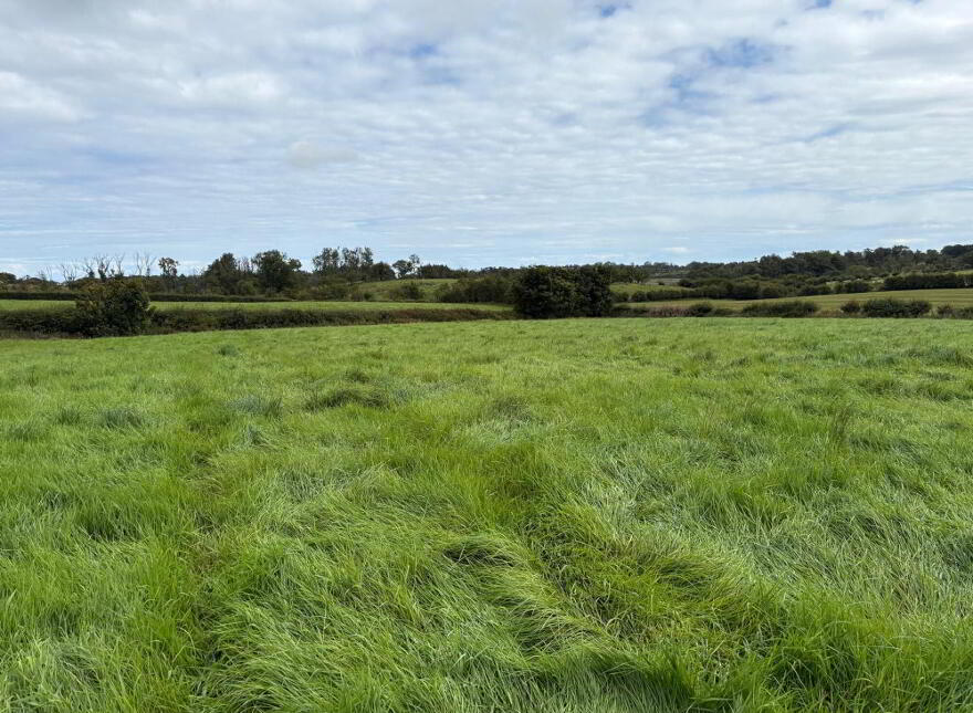 Loughmourn Road, Carrickfergus, BT38 9AN