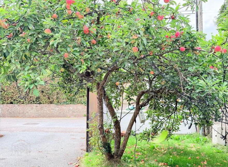 Applewood, Croaghta Park, Glasheen, T12P2FA