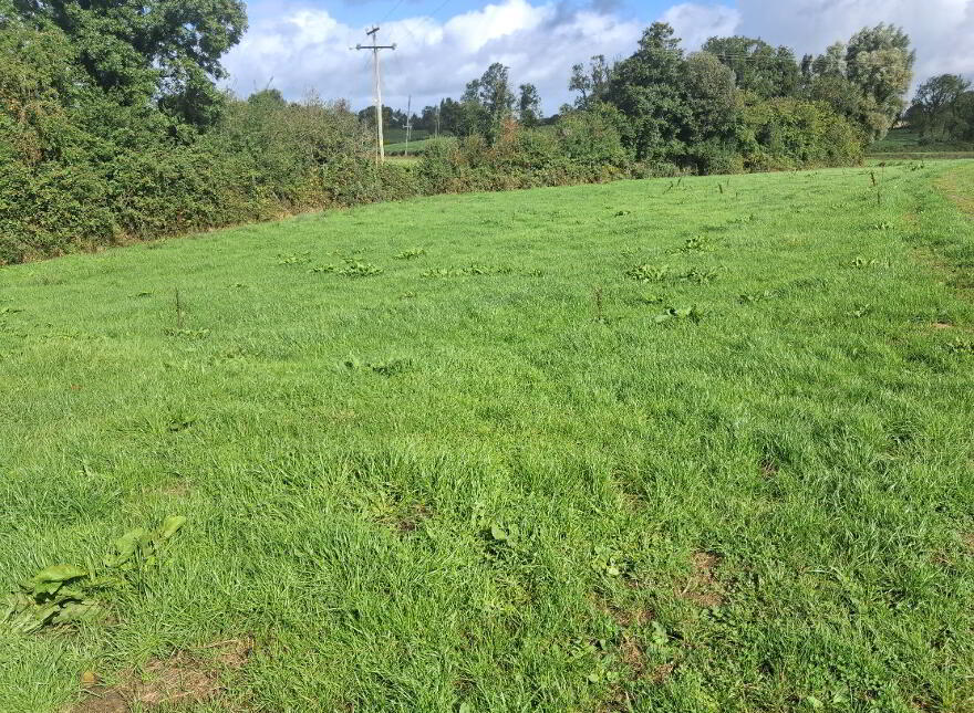 Sheeny, Newtownbutler, BT92 8DQ