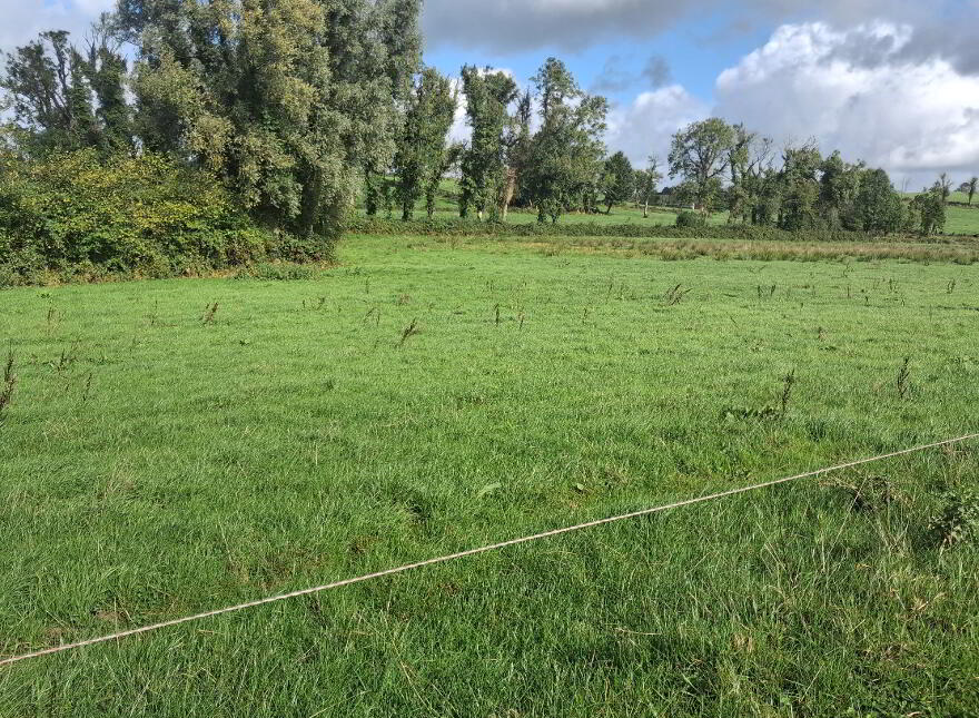 Sheeny, Newtownbutler, BT92 8DQ