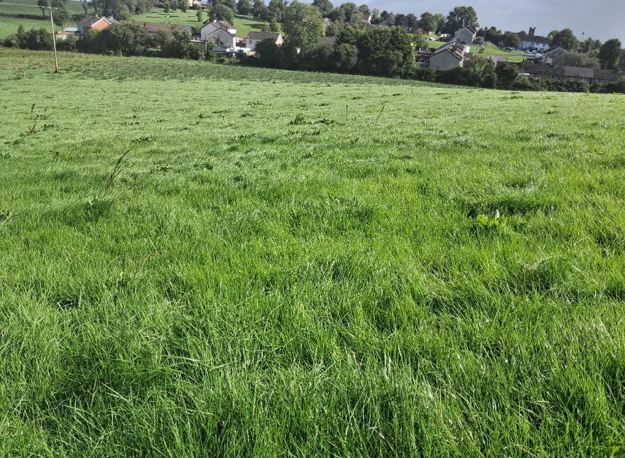 Sheeny, Newtownbutler, BT92 8DQ