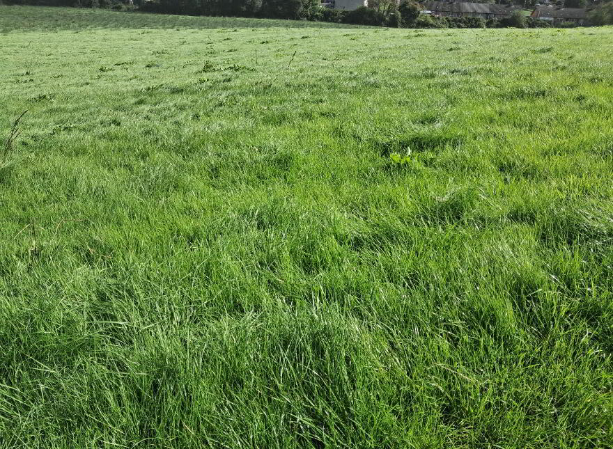 Sheeny, Newtownbutler, BT92 8DQ