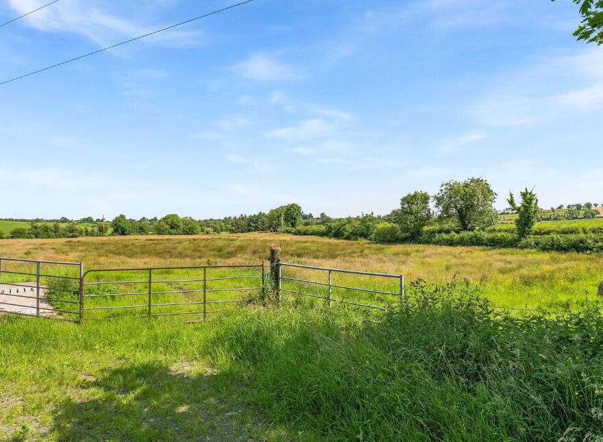 Derrylea, Ballyjamesduff, A82AX28