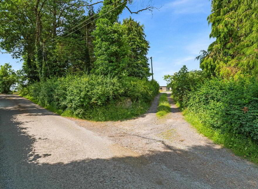 Derrylea, Ballyjamesduff, A82AX28