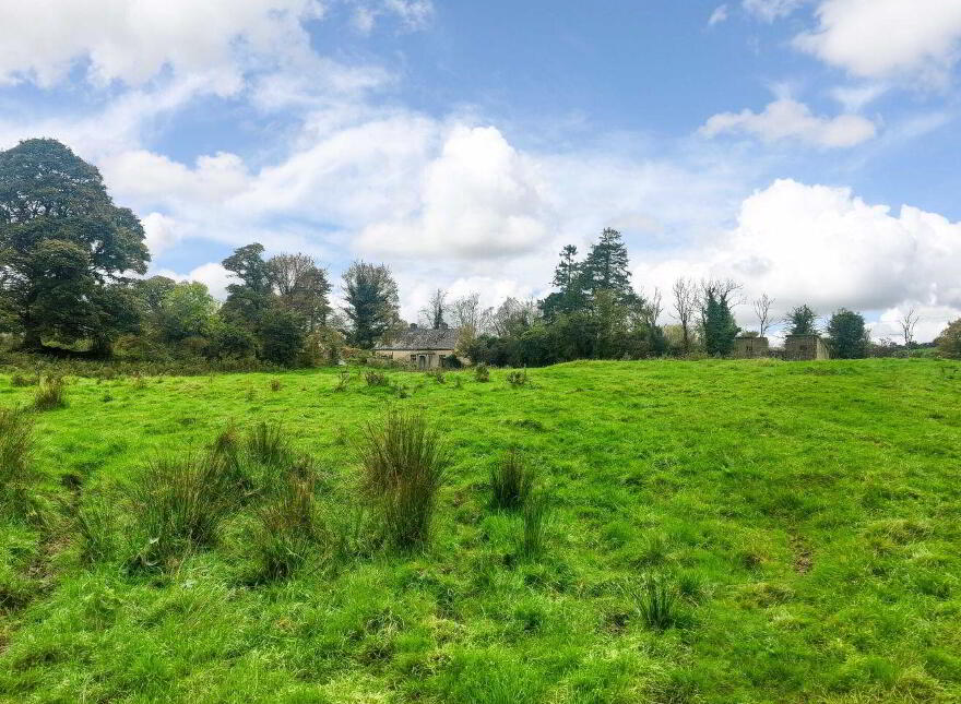Derrylea, Ballyjamesduff, A82AX28