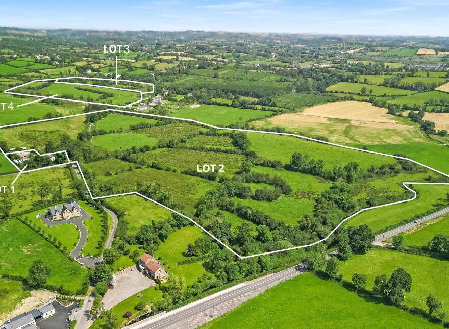 Derrylea, Ballyjamesduff, A82AX28 photo