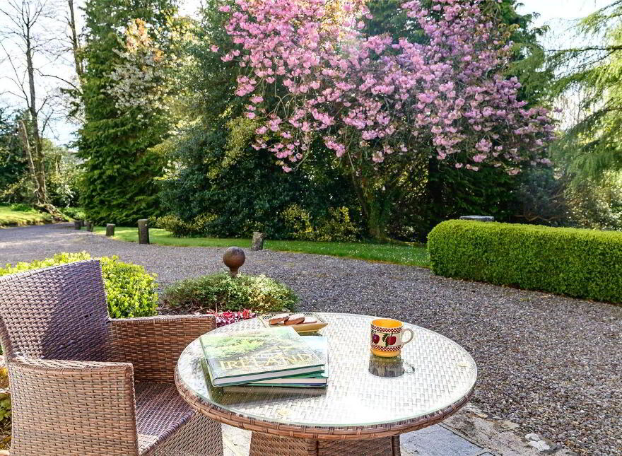 Duarigle, Navigation Road, Mallow, P51FC6K
