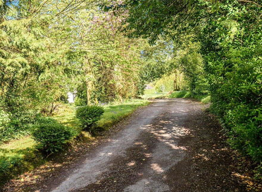 Duarigle, Navigation Road, Mallow, P51FC6K