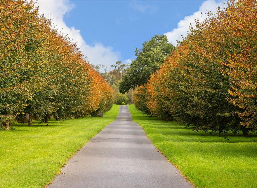 Saint Clerans Manor, Saint Clerans, Craughwell, H91A0TD