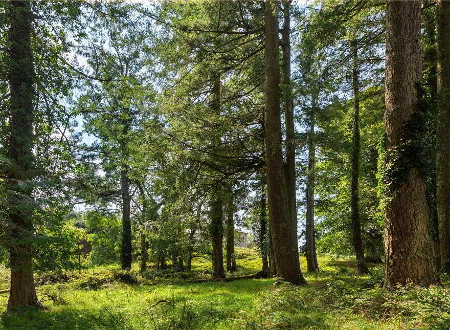 Knockranny Estate, Ballyfarnon